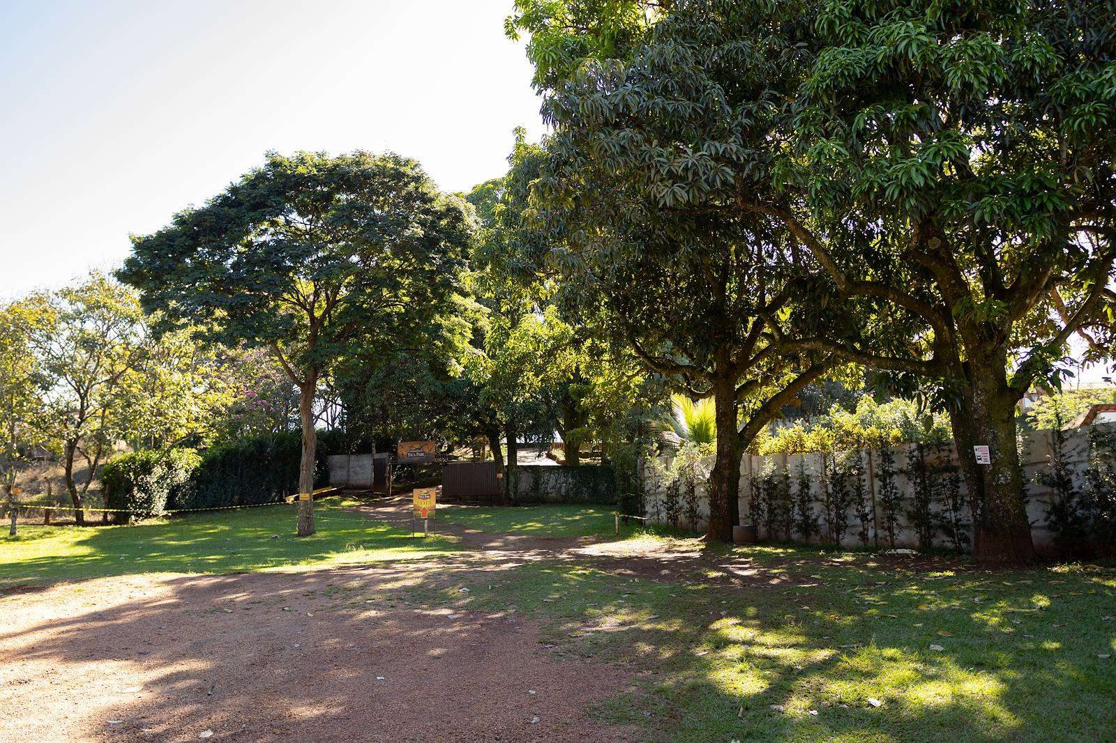 Vista do Toca Park: paisagismo, esqueleto cenográfico e árvores centenárias
