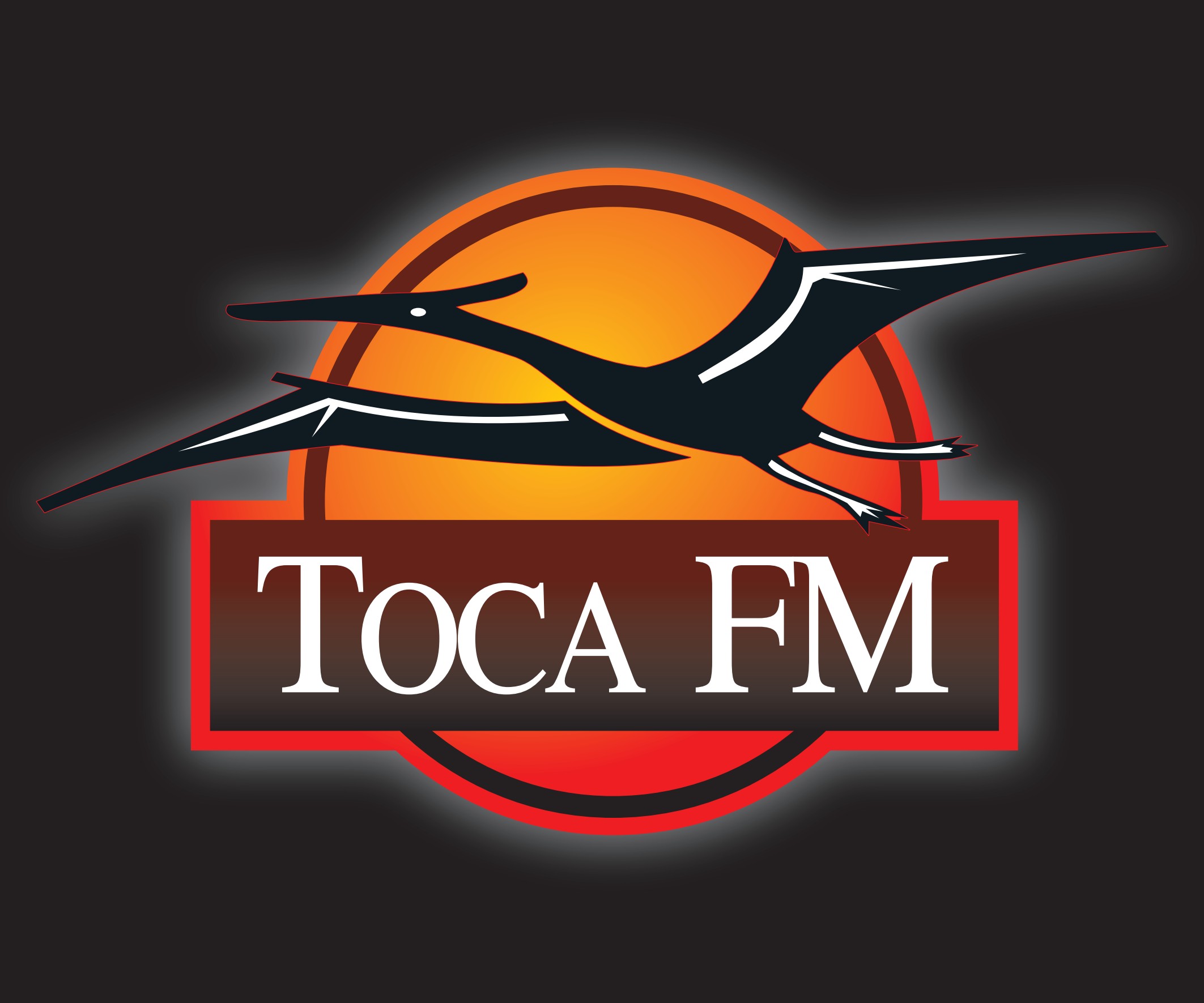 Logo da Toca FM